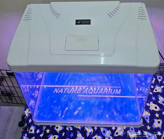 حوض سمك وعده كامله مشروع متكامل 4