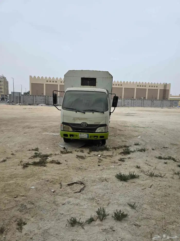 دينا تويتا 2012 0