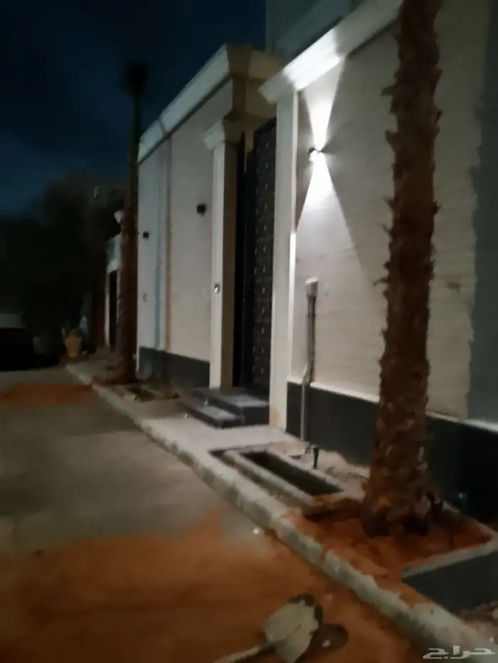 نخيل واشنطني زينه 6