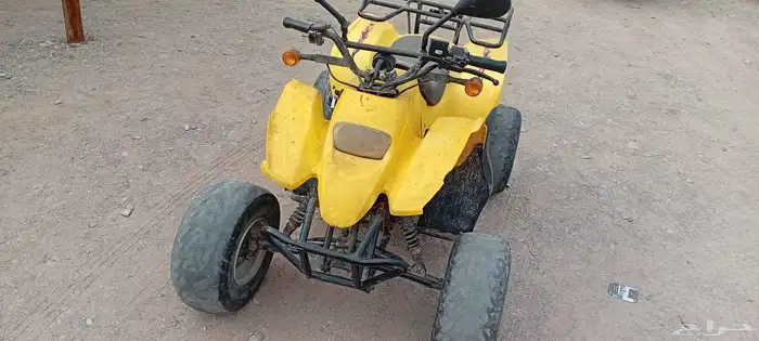 دباب سويدي 100 1