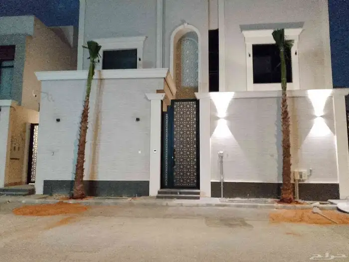 نخيل واشنطني زينه 1