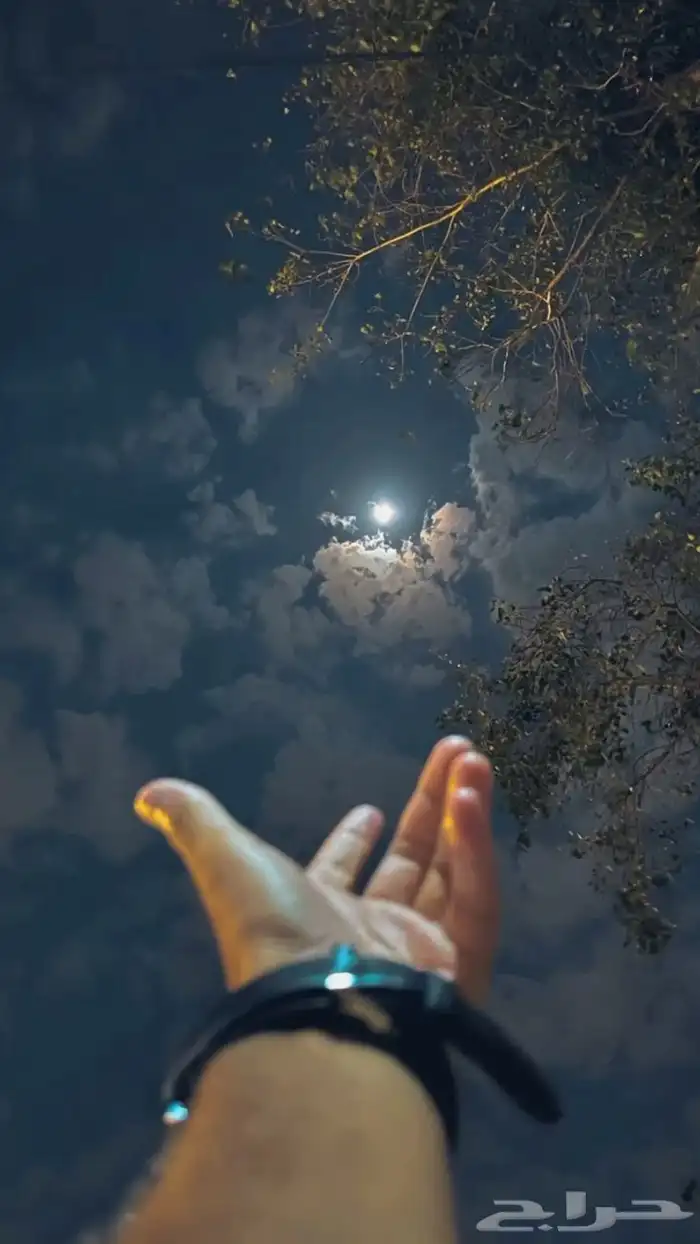 شغل استرا شغل غنم شغل بيت شغل شائي  اوا آئي شغل 0