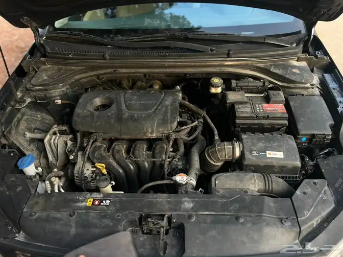 النتراء 2019 7