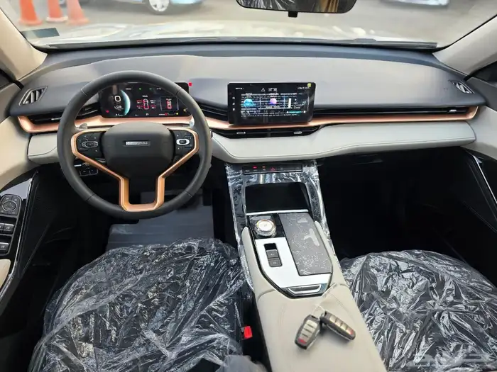 هافال H6 بيسك استاندر 2025 عرووض تصفيه 13