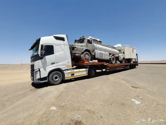 لوبد متواجد في دومة الجندل سكاكا الجوف طبرجل عرعر لاجار 2