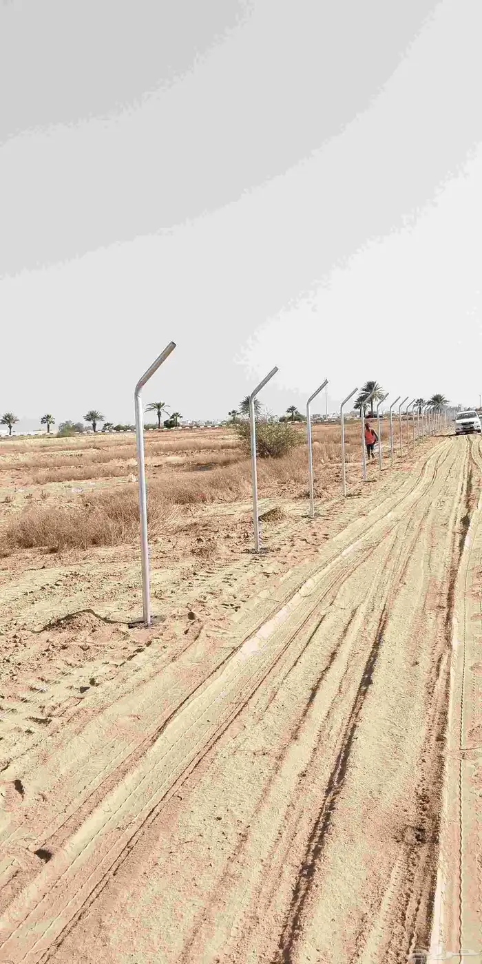 جميع انواع اشبوك 7