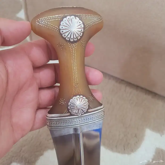 جنبيه قرن مشرقي 5