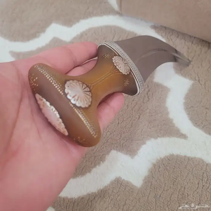 جنبيه قرن مشرقي 8