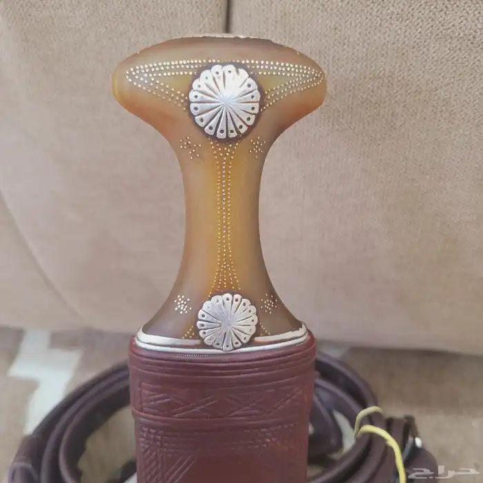 جنبيه قرن مشرقي 10