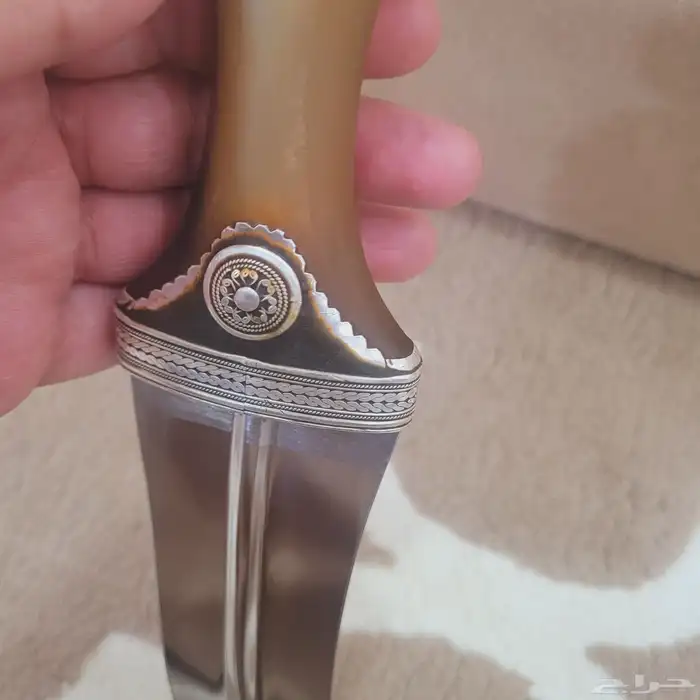 جنبيه قرن مشرقي 7