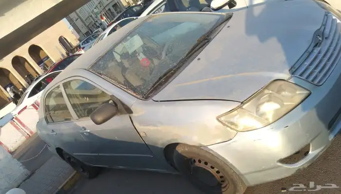 المدينه المنورة 4