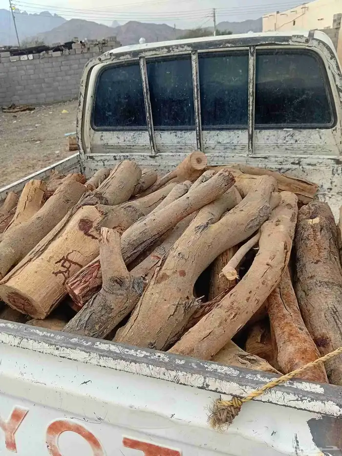 خشبب س م ر. 1