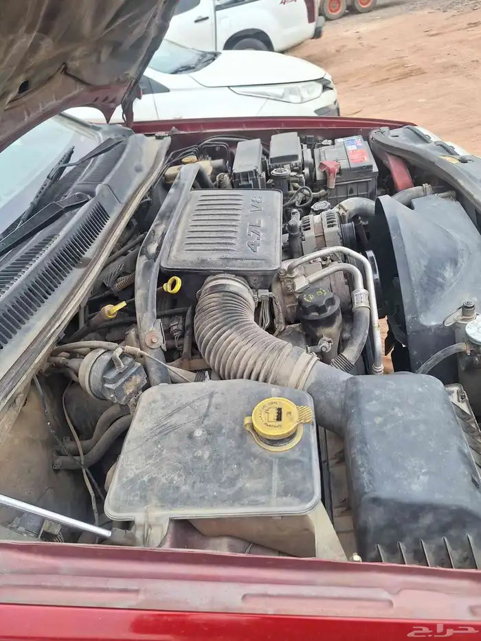 جيب شروقي فل 7