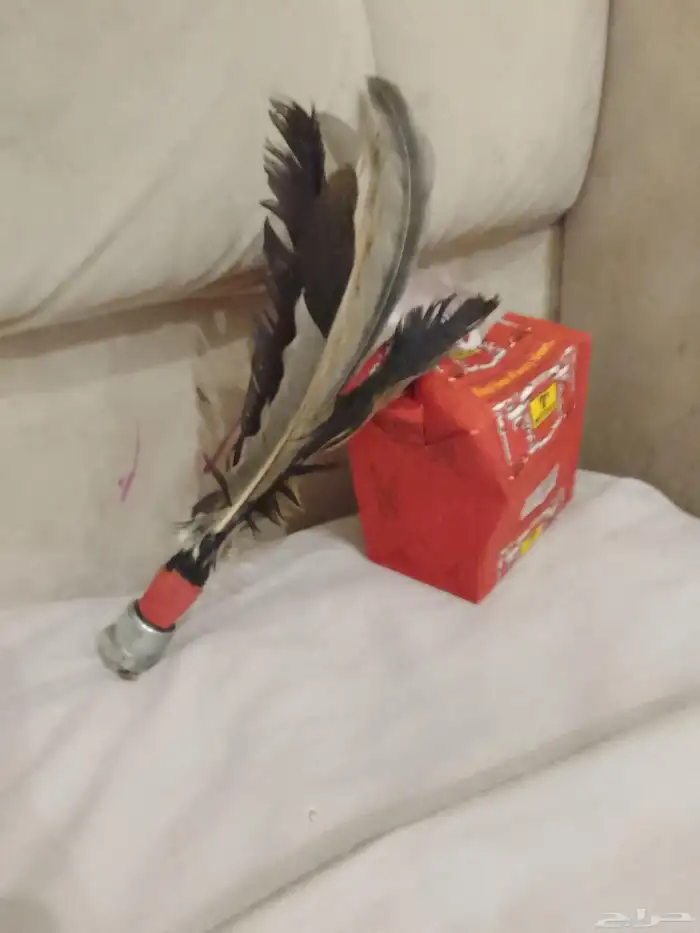 طرطعان الاولين التواصل واتساب فقط مكالمه ما فيها 0