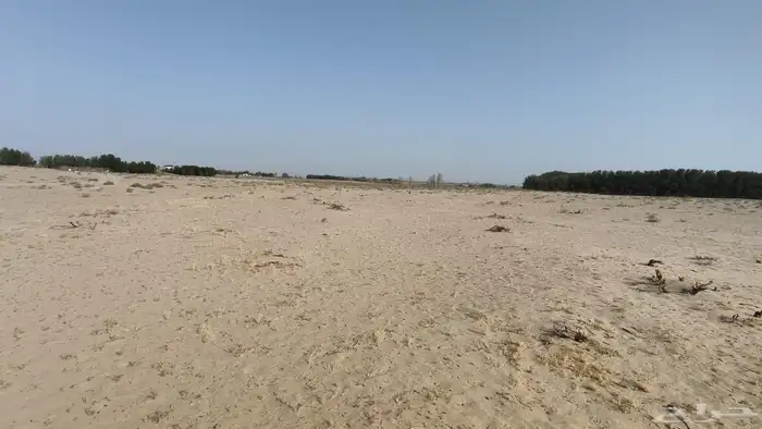 مزرعه بمليجه جنوب النعيرية 20 ك صك الكتروني 8