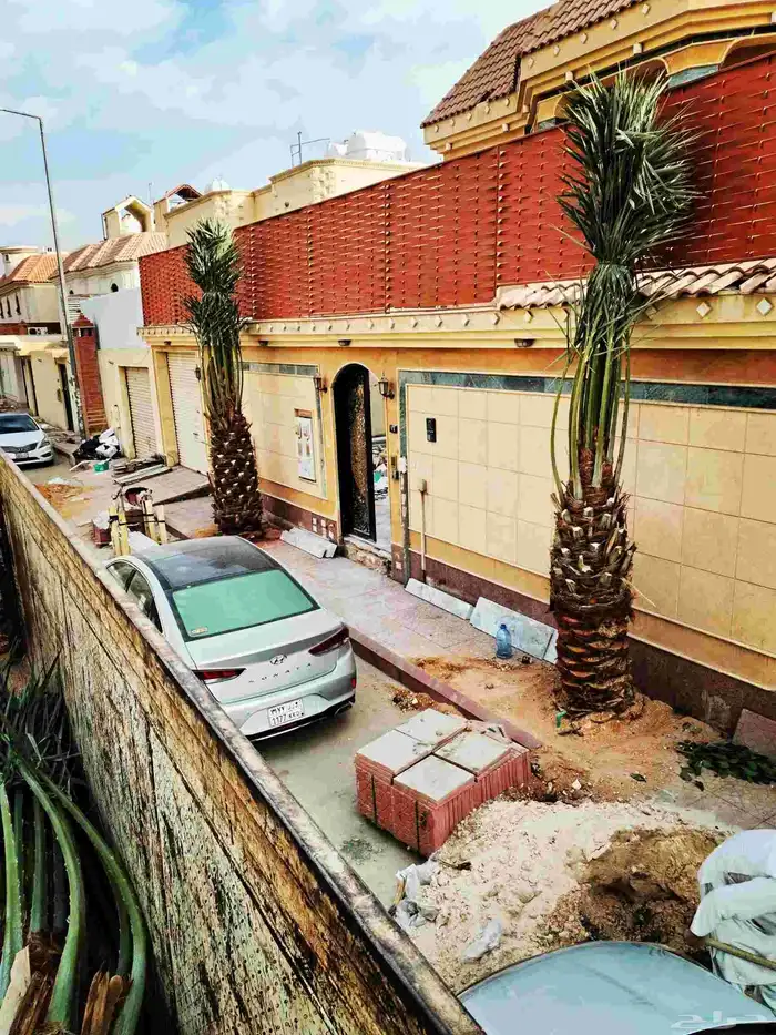 نخل مثمر عربي خلاص صقعي سكري هلالي برحي ونخيل واشنطني زينه 3