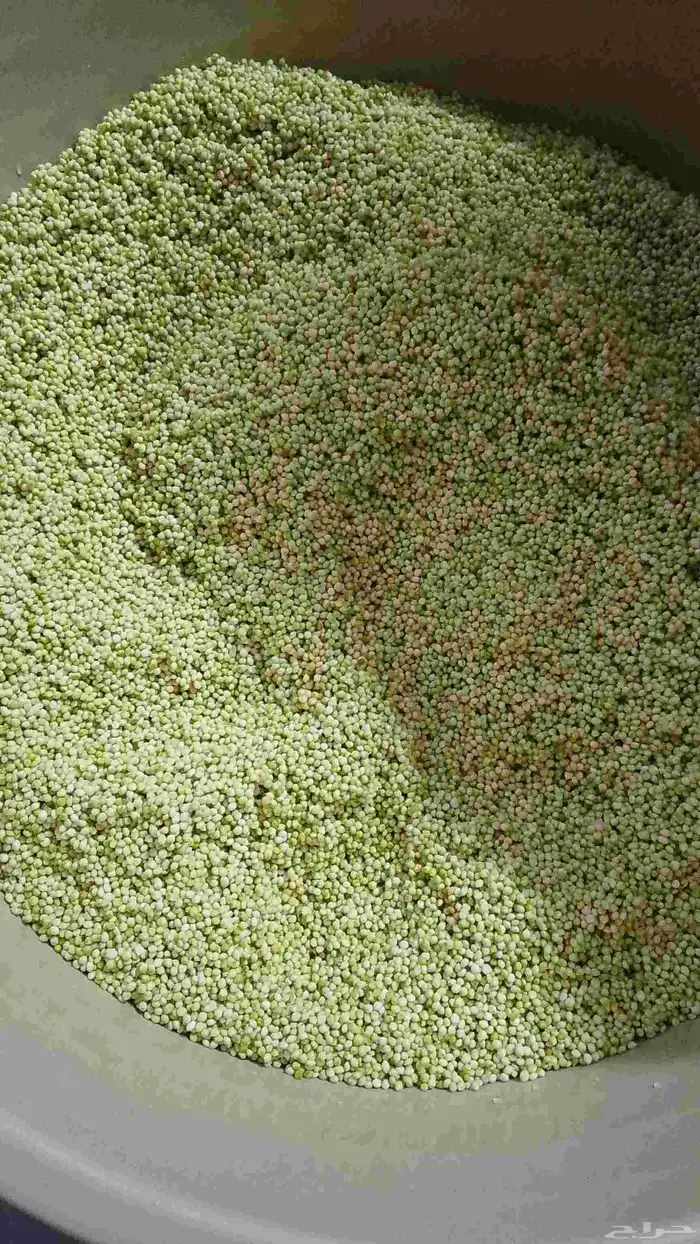 متوفر خضير ماشاءالله نضيف وطري يوجد توصيل جميع مدن المملكه 3