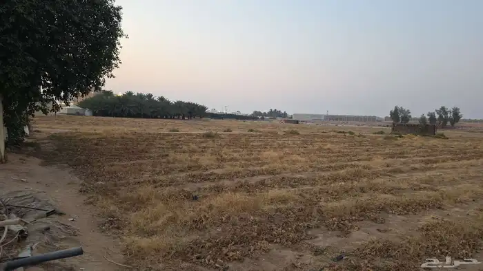 مطلوب مزرعه للايجار السنوي تصلح للزراعة طماطم خيار كوسه مياه 0