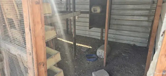 للبيع اغراض عزبه كامله 10