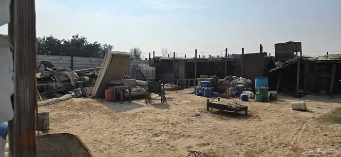 للبيع اغراض عزبه كامله 2