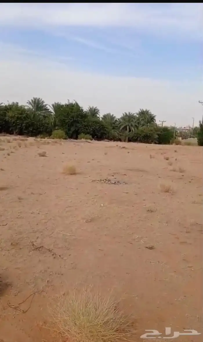 مطلوب مزرعه للايجار السنوي تصلح للزراعة طماطم خيار كوسه مياه 1