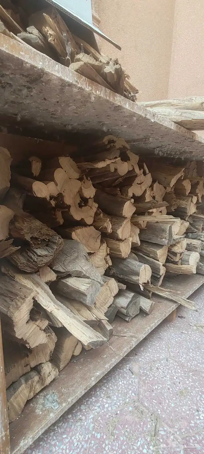 مستورد ح ط ب بزرومياا 2