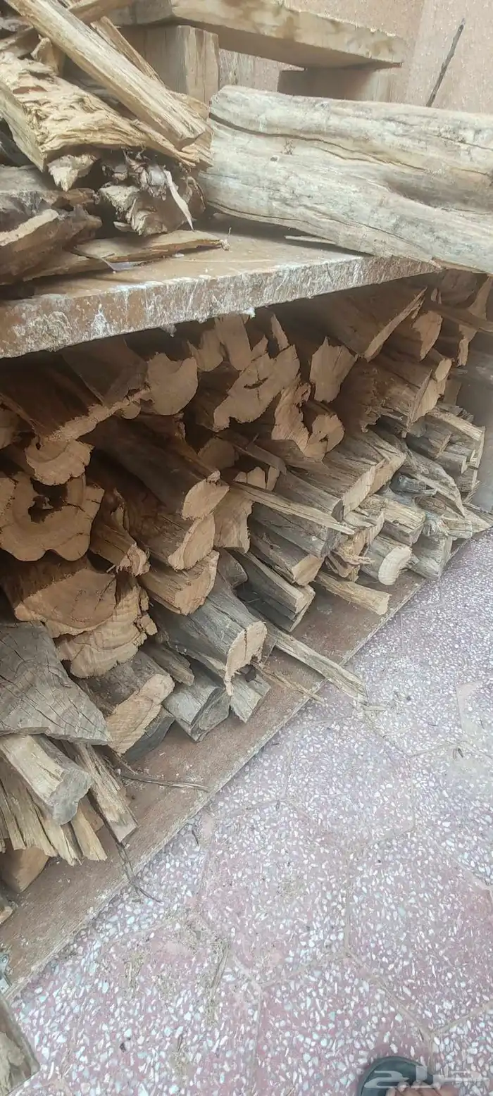 مستورد ح ط ب بزرومياا 5