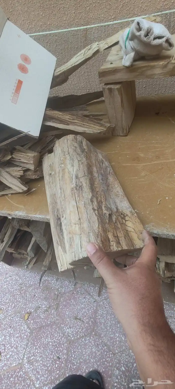 مستورد ح ط ب بزرومياا 4