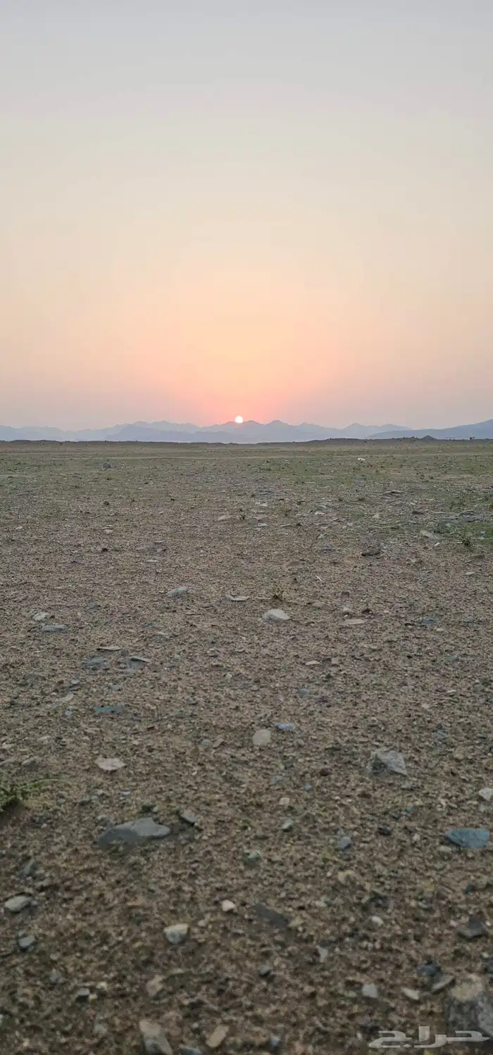 أرض للبيع في أبها 0