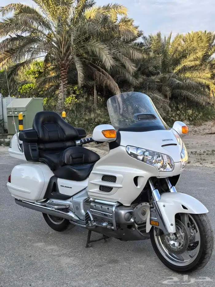 قولد وينق 2008 0