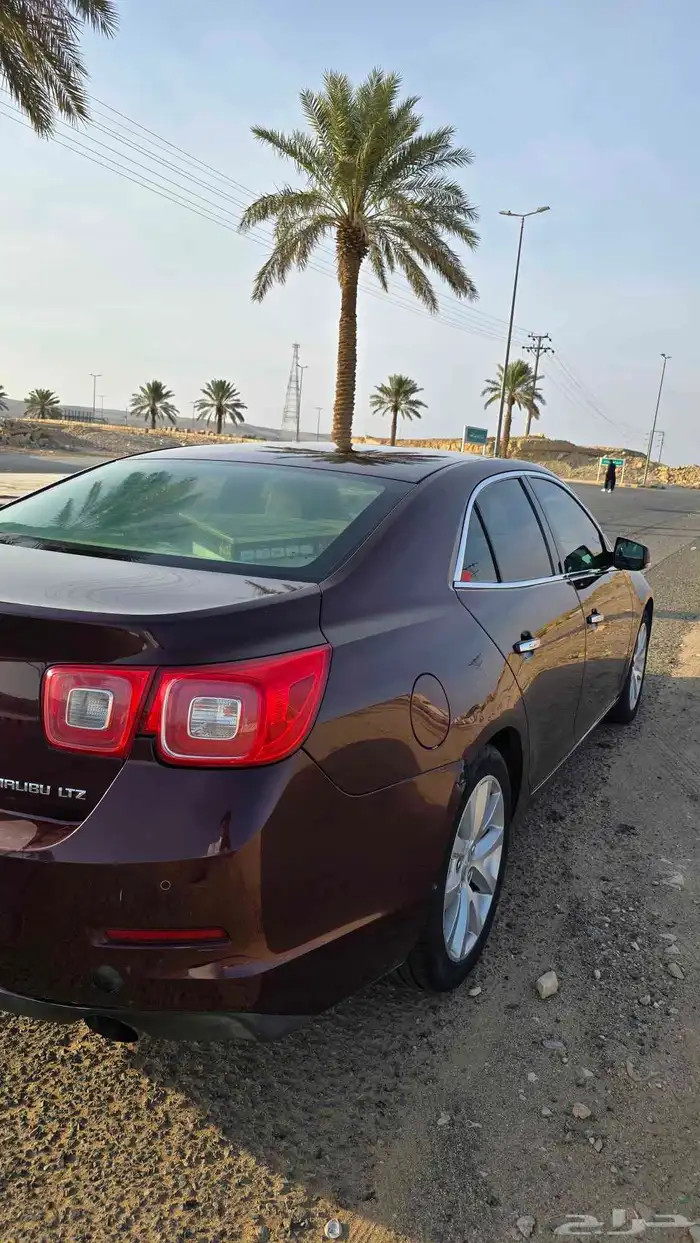 ماليبو 2013 11