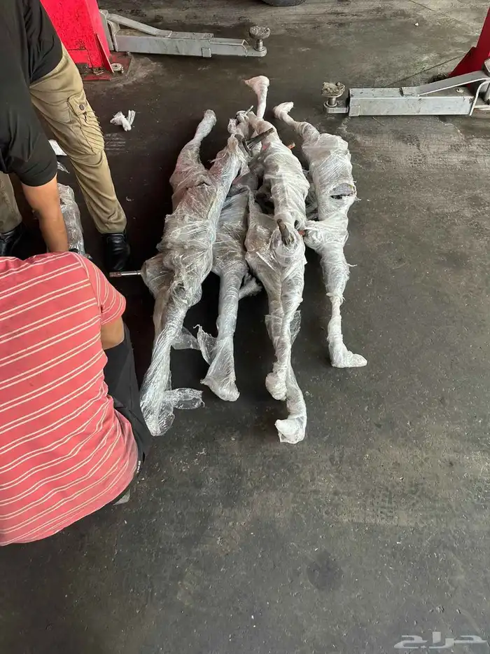 فورد F150-2016 1