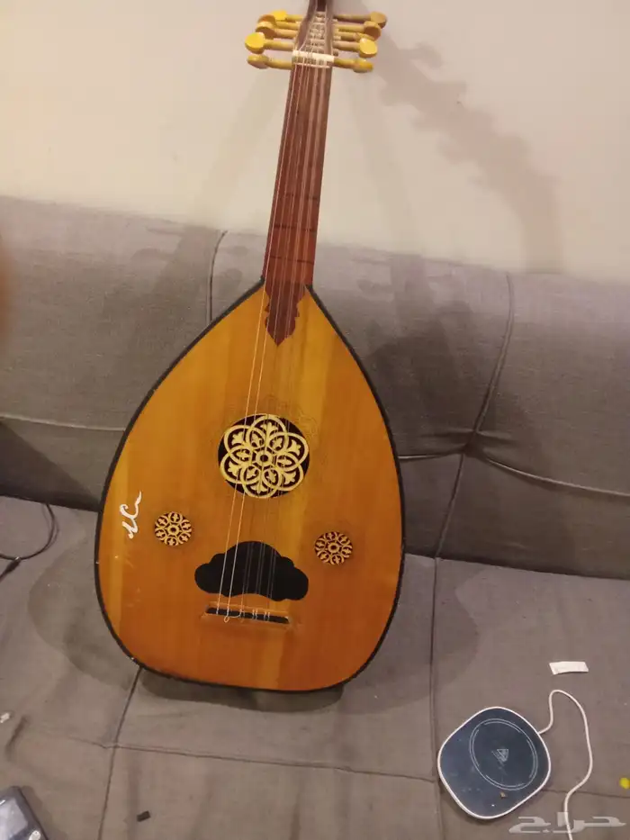 الطائف حي الاخباب شارع الامام ابو داوود 0