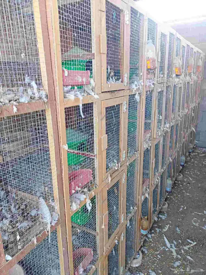 محاكر حمام سليمه من الكسور كل دولاب اربعه ادوار لييع 4