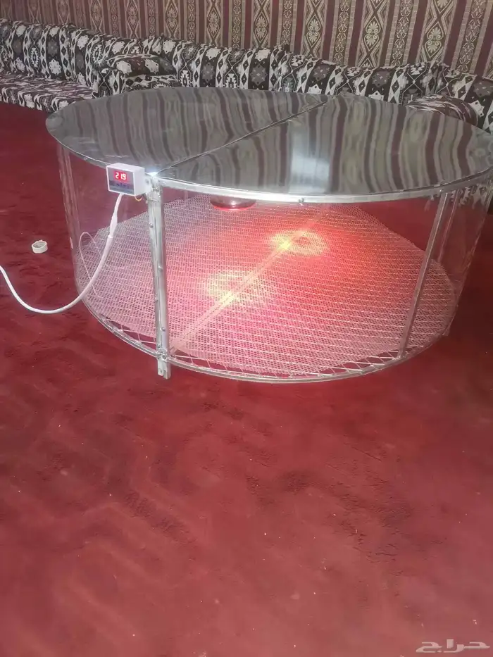 Circular chick incubator 4