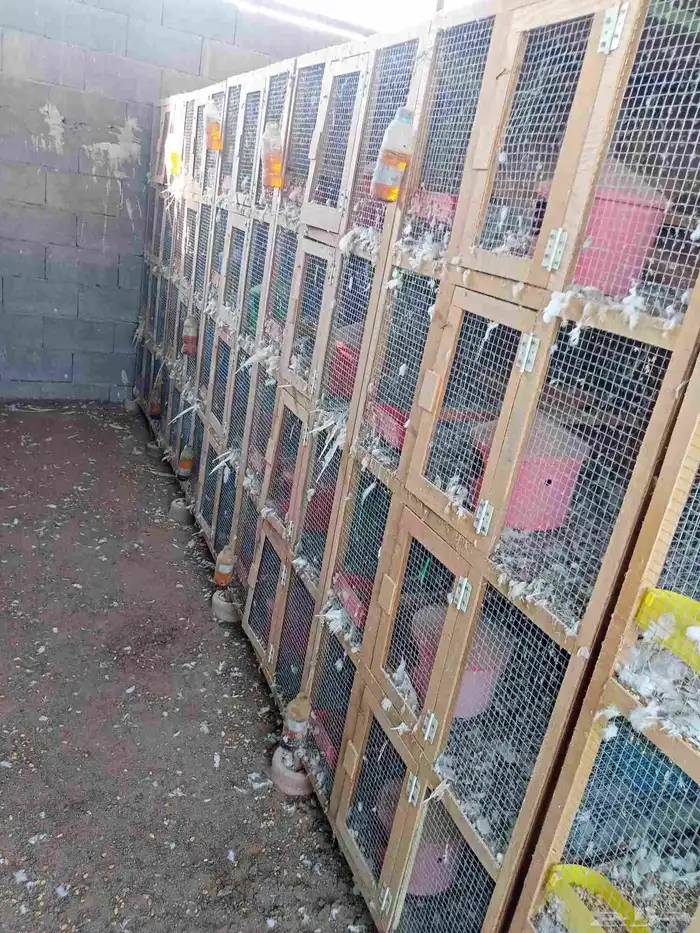 محاكر حمام سليمه من الكسور كل دولاب اربعه ادوار لييع 1