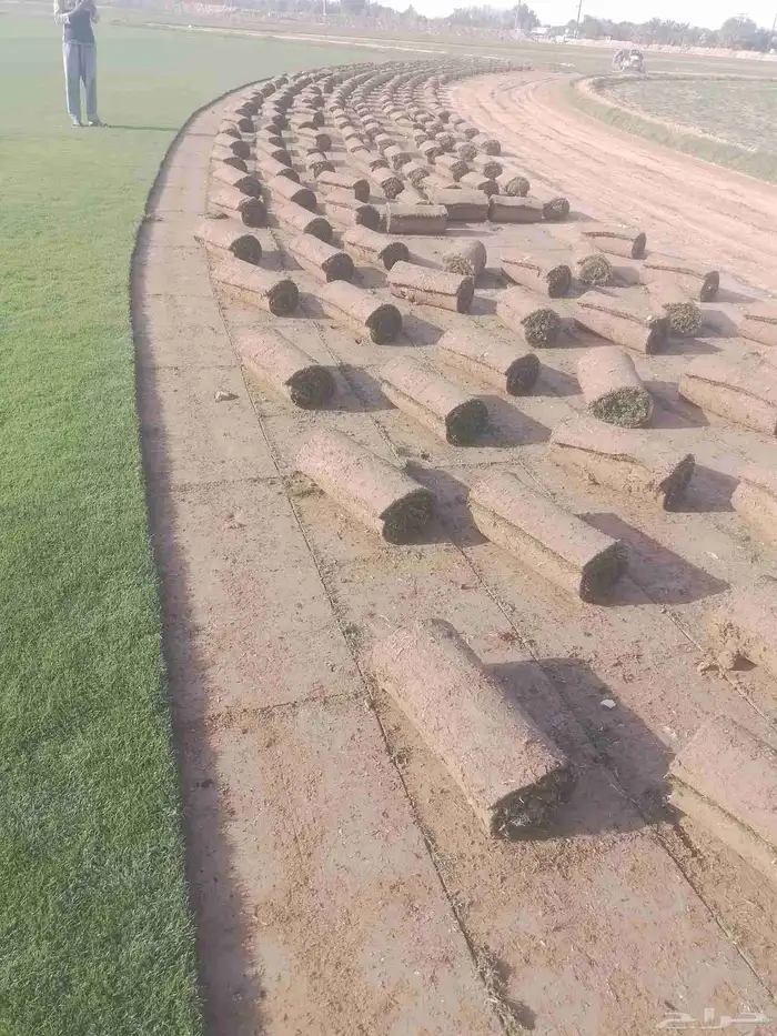 عملائناالكرم يوجدلديناجميع انواع الثيل الطبيعي الممتاز 2