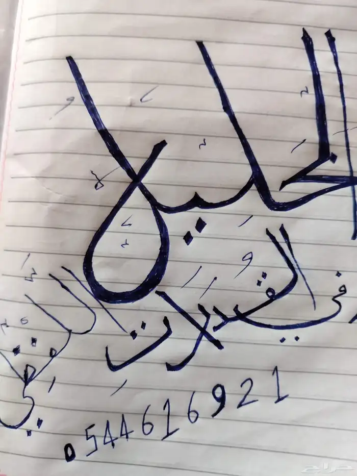 معلم لغة عربية ومدرب قدرات لفظي 2