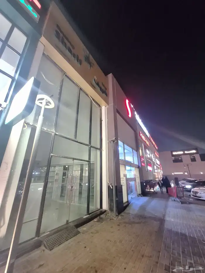 قط شارع لكن صغير للاسف ما اقدر اخذه فعرضته لعل احد ياخذه 1