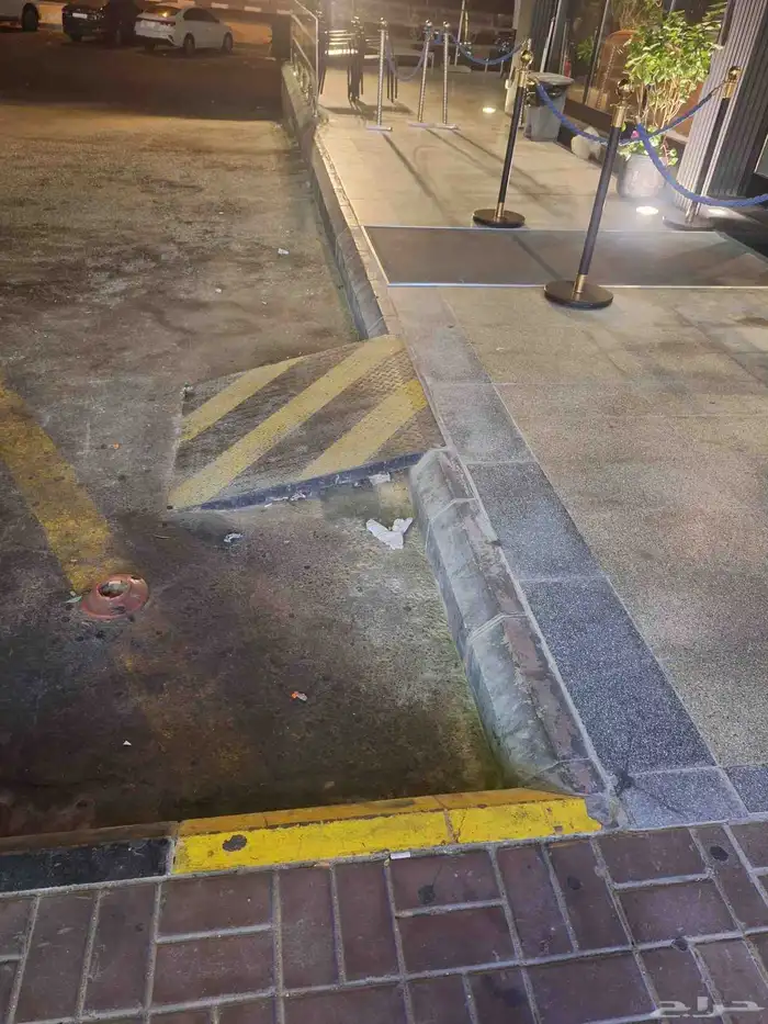 قط شارع لكن صغير للاسف ما اقدر اخذه فعرضته لعل احد ياخذه 2