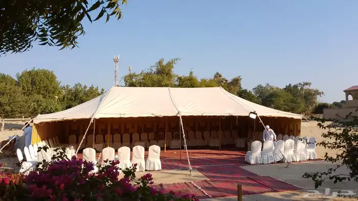 كهوجين صباغين الرجال والنساء جبيل الدمام الحساء 4