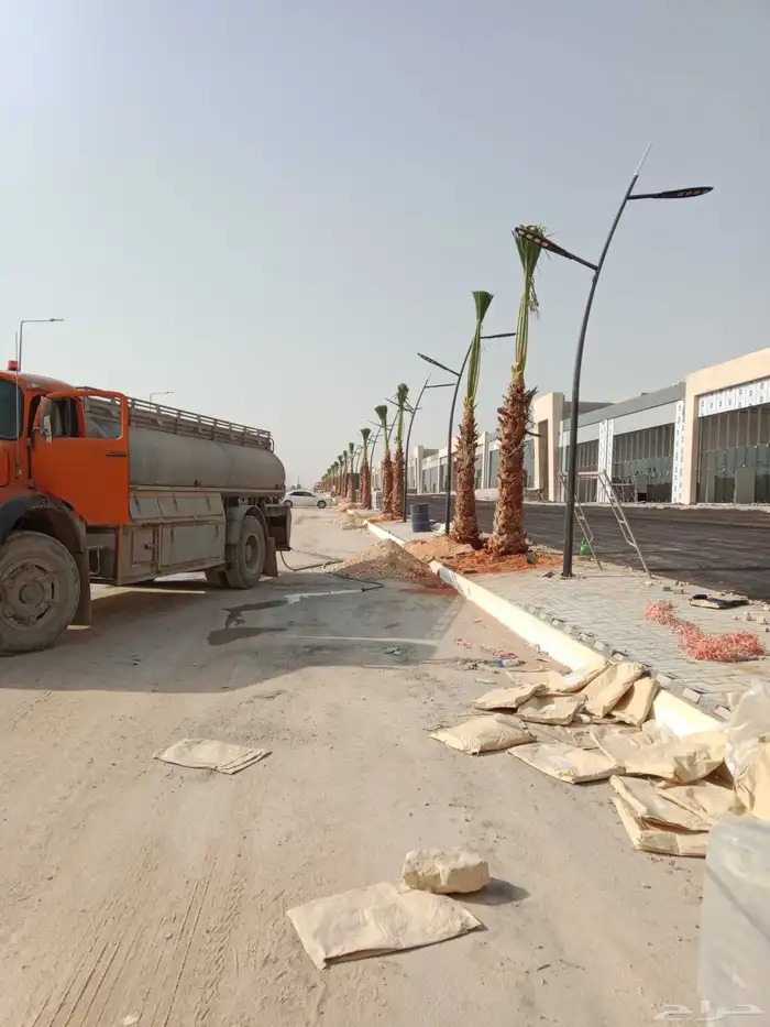 نحنو نقوم بتوريد وزراعة جميع انواع النخيل الواشنطني 8