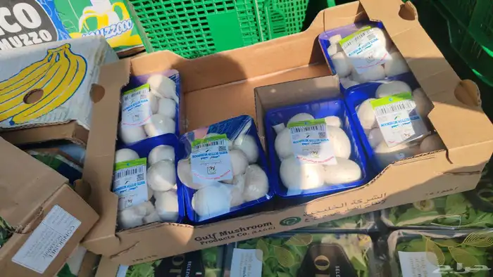 مورد خضار للمطاعم اسعار منافسة 2