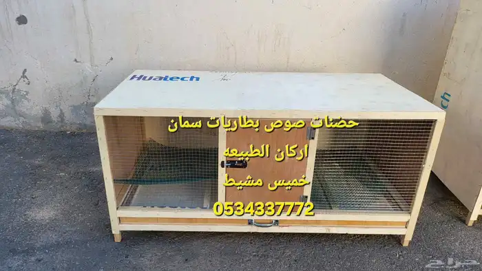 بطاريات حضانات سمان وصوص فروخ دجاج 1