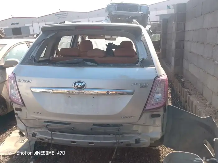 ليفان مديل 2014 1