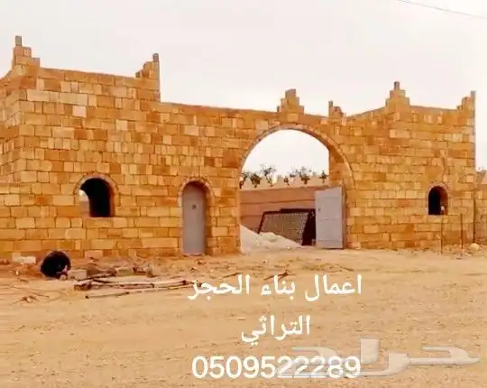 نخل عربي وواشنطني الموقع تبوك 7