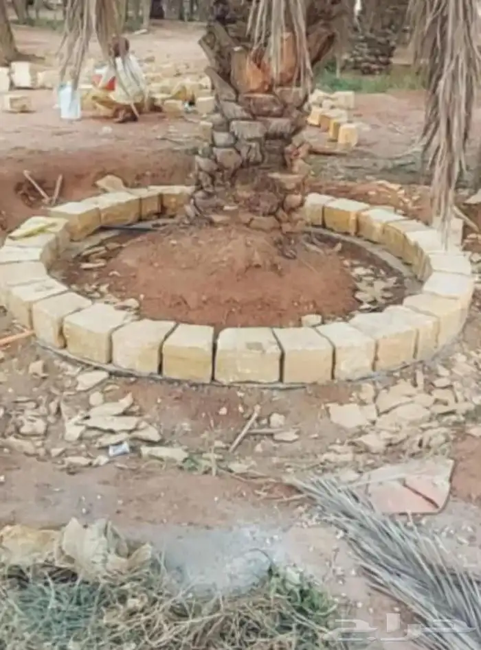 مقاولات المباني الحجر والتراث 7