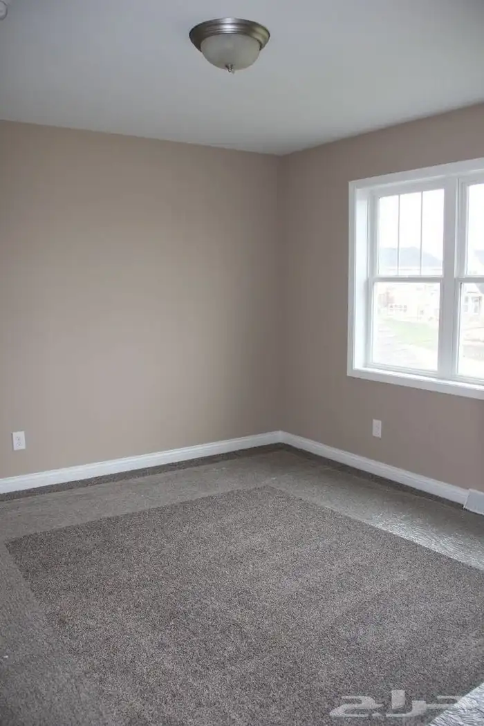 Interior and Exterior Paints 2