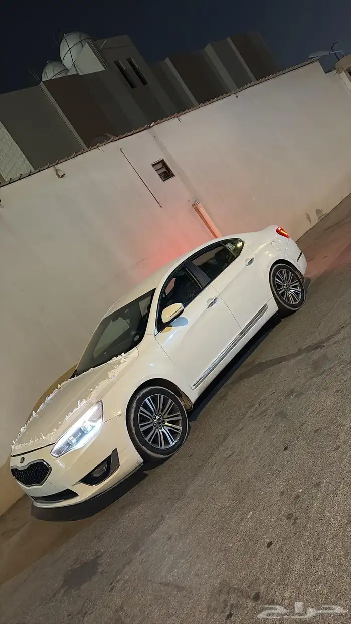 كادينزا 2015 5