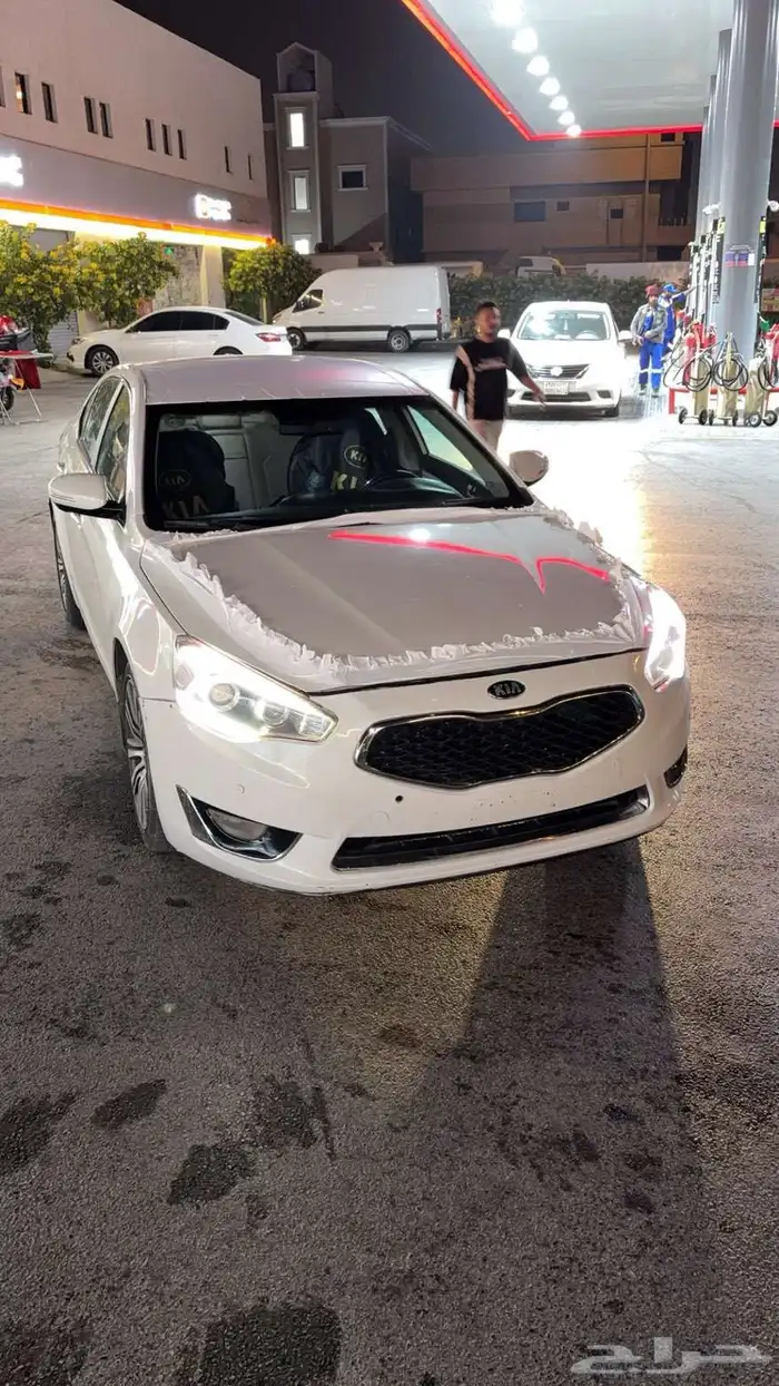 كادينزا 2015 1